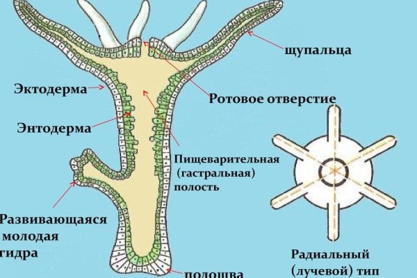 Kraken onion зеркало