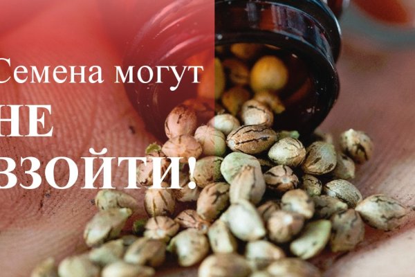 Kraken 12 at что это